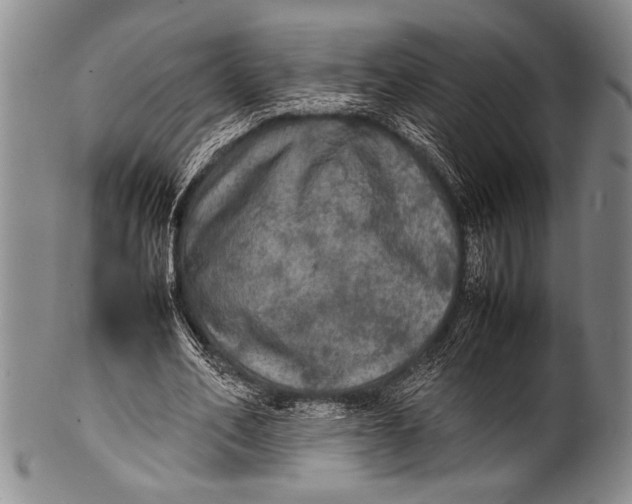 X0000100310582200806261204