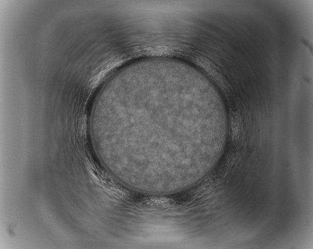 X0000100310583200806261204