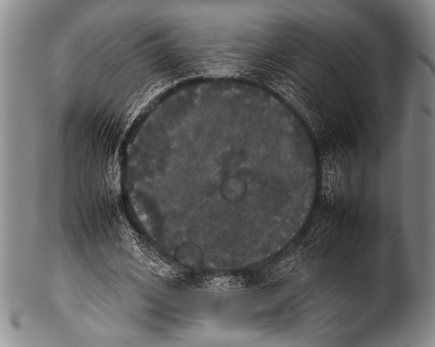 X0000100310584200806261204