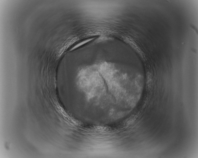 X0000100310585200806261204