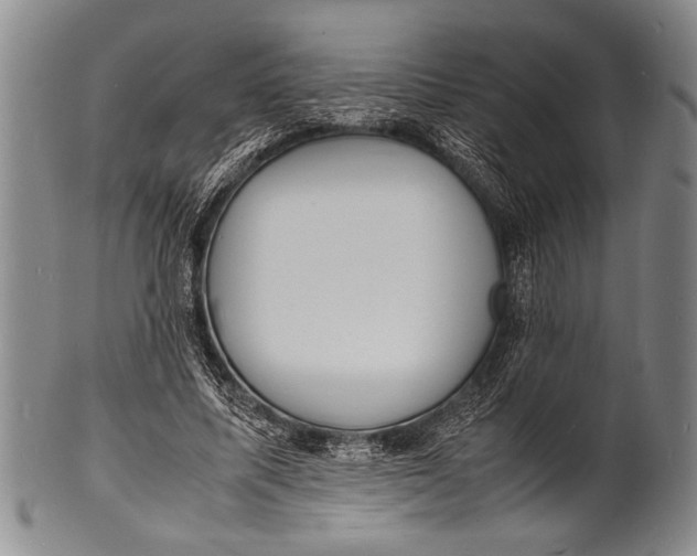 X0000100310587200806261204