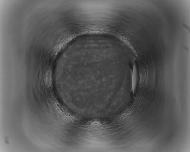 X0000100310588200806261204