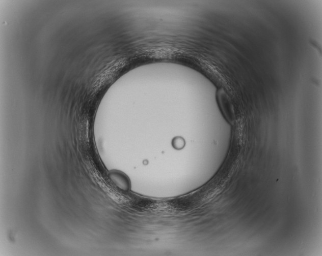 X0000100310589200806261204