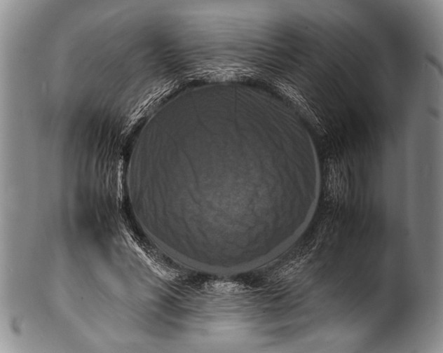 X0000100310590200806261204