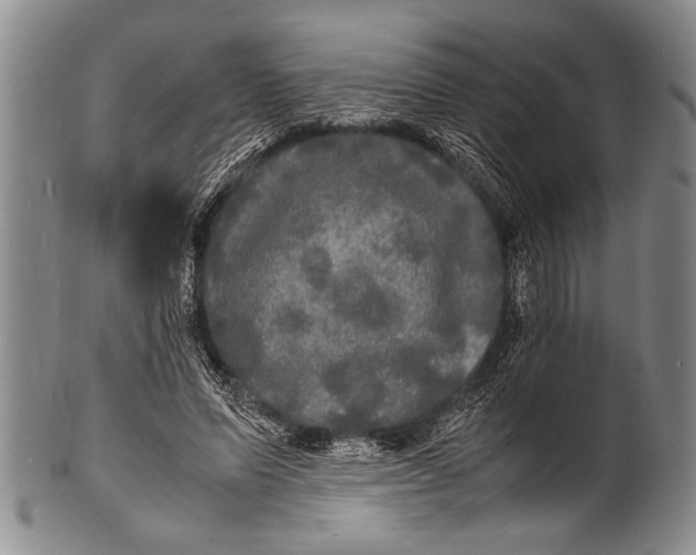 X0000100310591200806261204