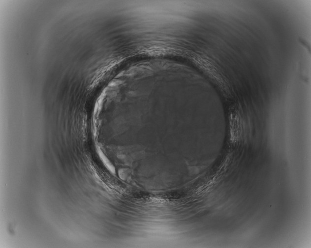 X0000100310592200806261204