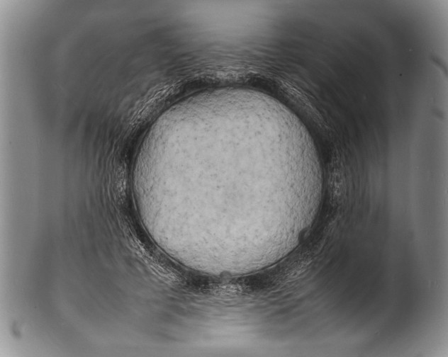 X0000100310593200806261204