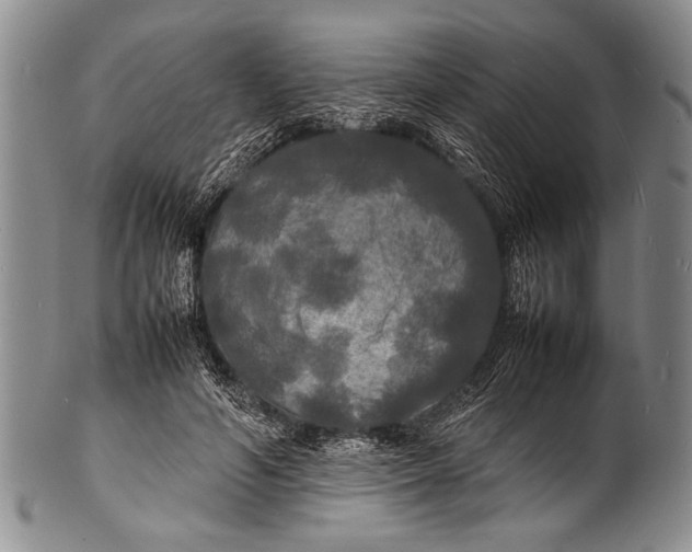 X0000100310594200806261204