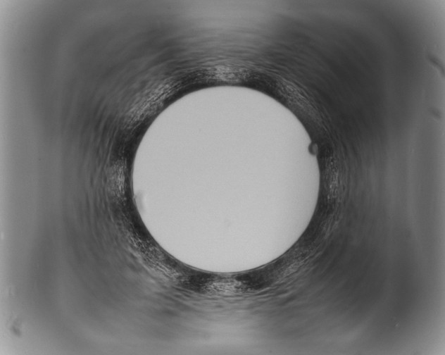 X0000100310595200806261204