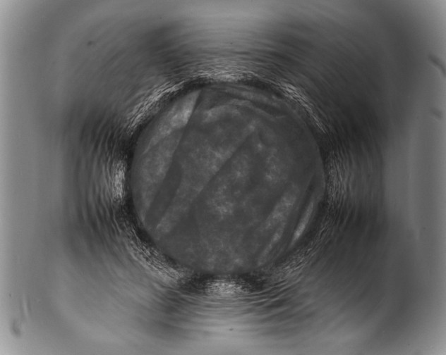 X0000100310596200806261204