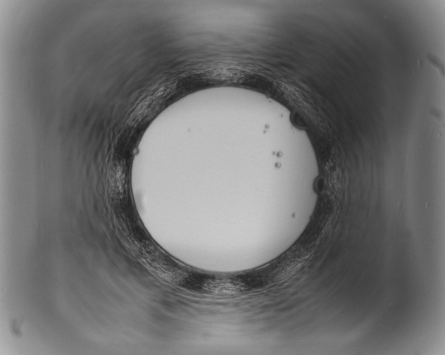 X0000100310597200806261204