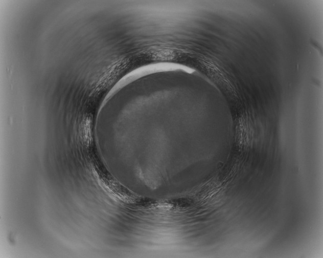 X0000100310598200806261204