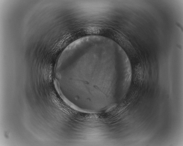 X0000100310600200806261204