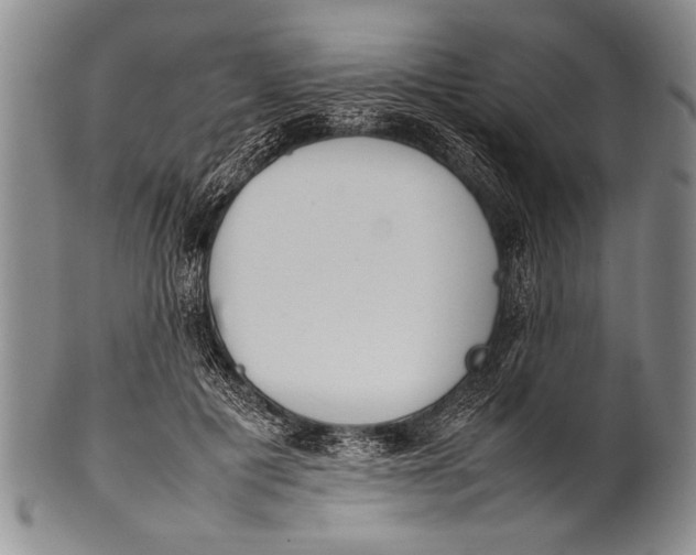 X0000100310601200806261204