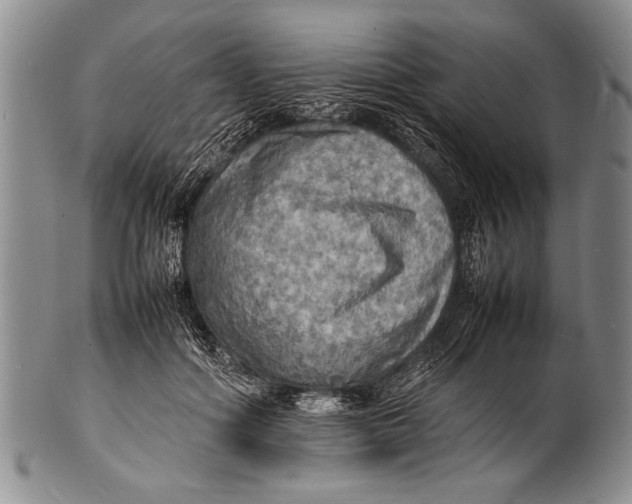 X0000100310602200806261204