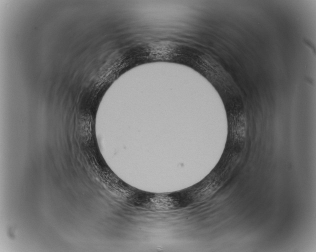 X0000100310603200806261204