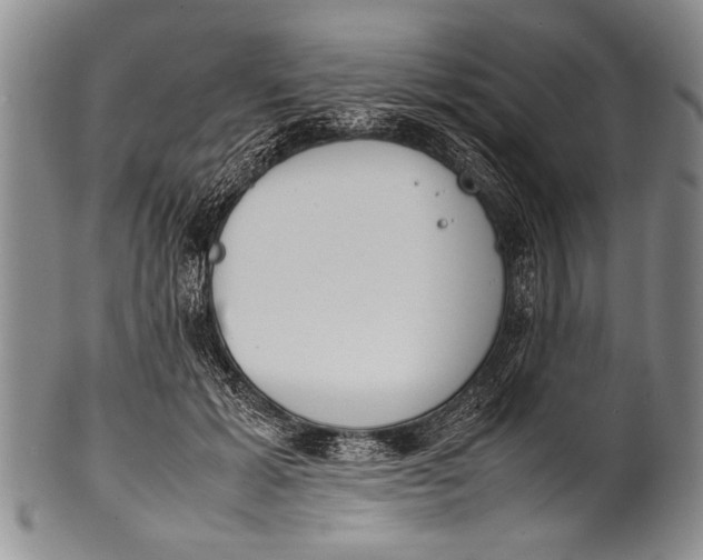 X0000100310605200806261204