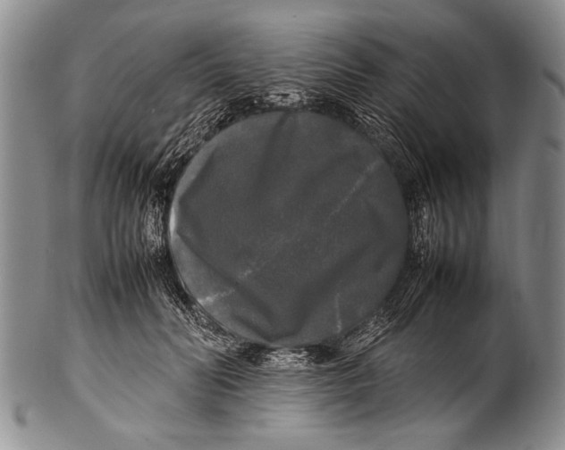 X0000100310606200806261204