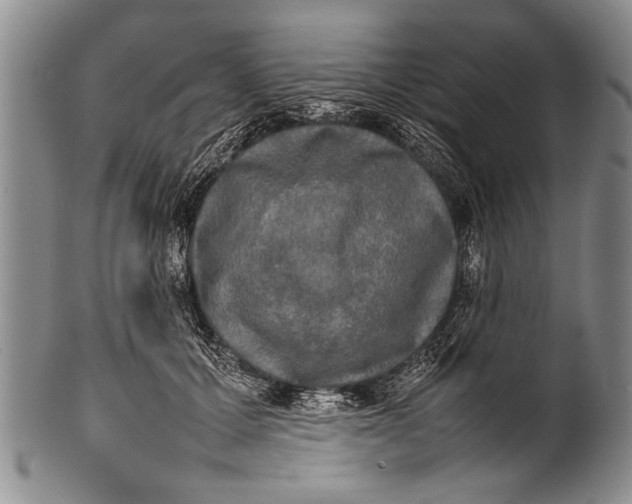 X0000100310607200806261204