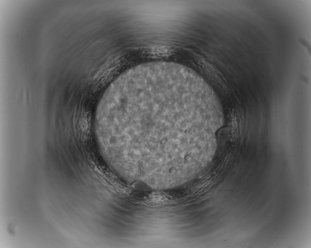 X0000100310608200806261204