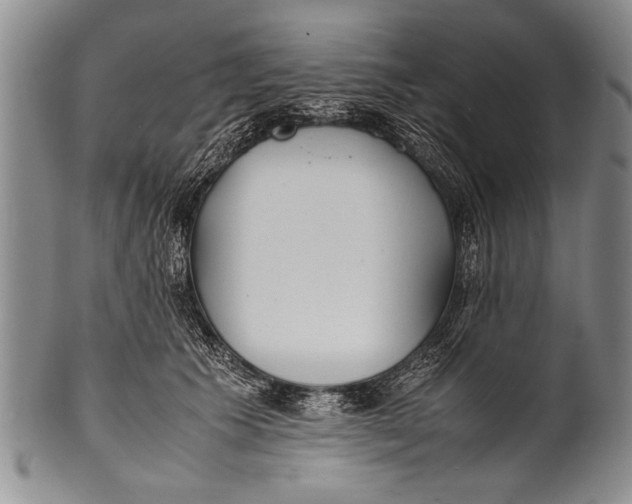 X0000100310609200806261204