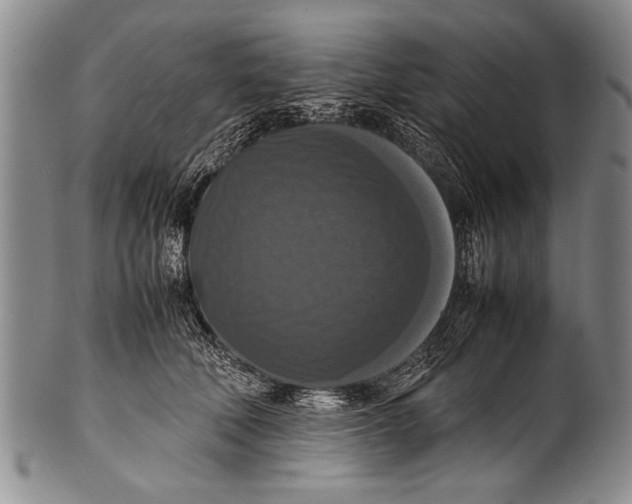 X0000100310610200806261204