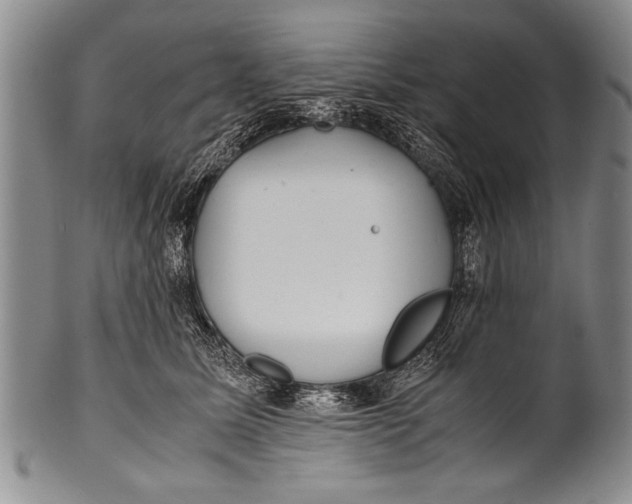 X0000100310611200806261204