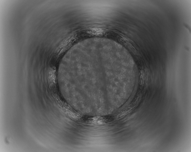 X0000100310612200806261204