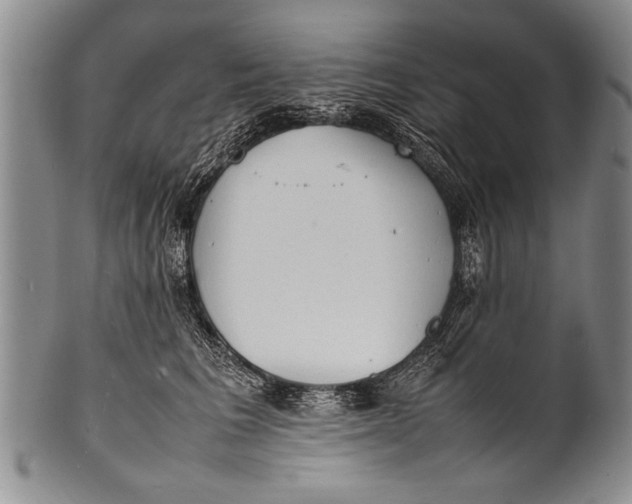 X0000100310613200806261204