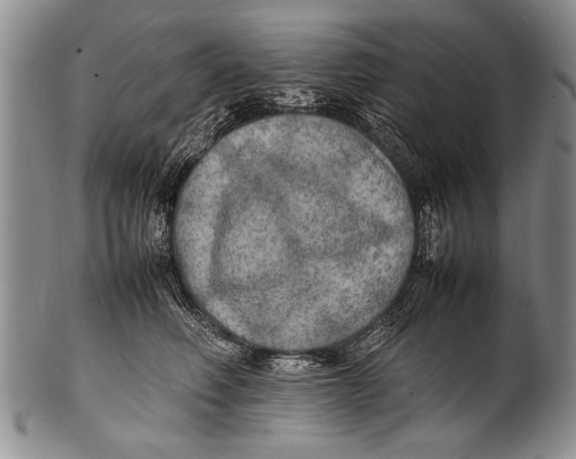 X0000100310614200806261204