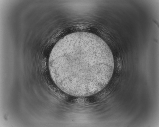 X0000100310615200806261204