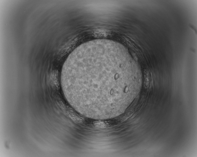 X0000100310616200806261204