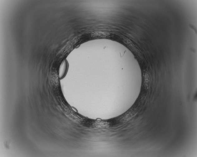 X0000100310617200806261204