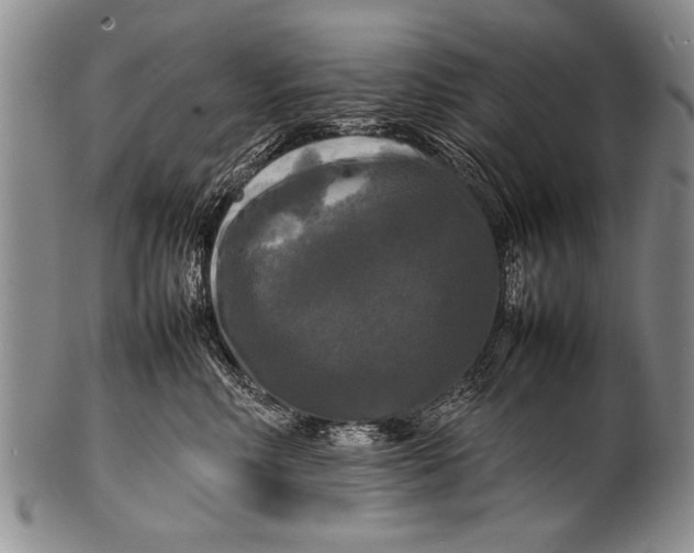 X0000100310618200806261203