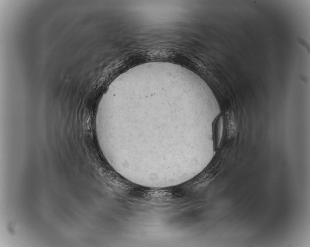 X0000100310619200806261203