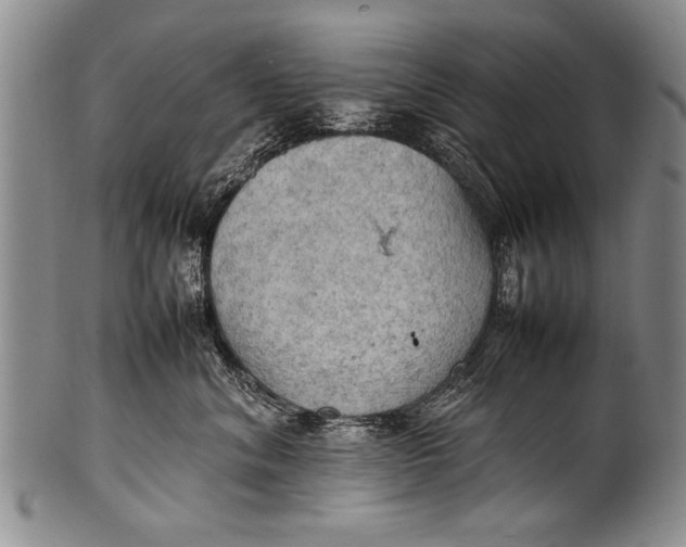 X0000100310620200806261203