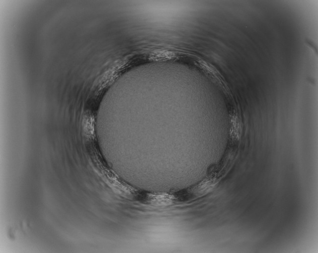 X0000100310621200806261203