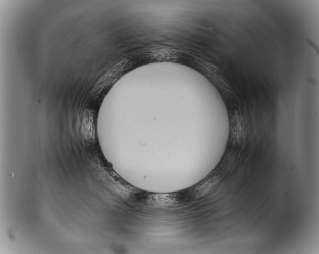 X0000100310622200806261203