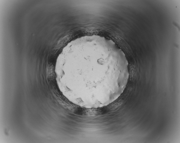 X0000100310623200806261203