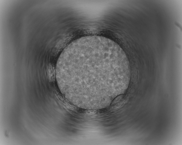 X0000100310624200806261203