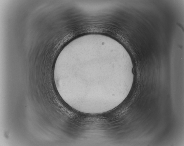 X0000100310625200806261203