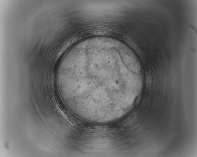 X0000100310626200806261203