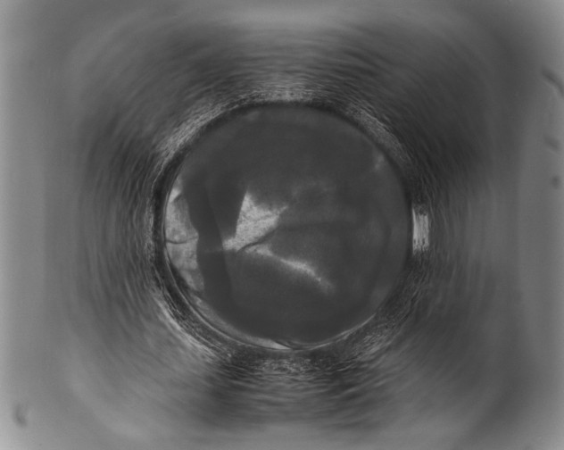 X0000100310627200806261203