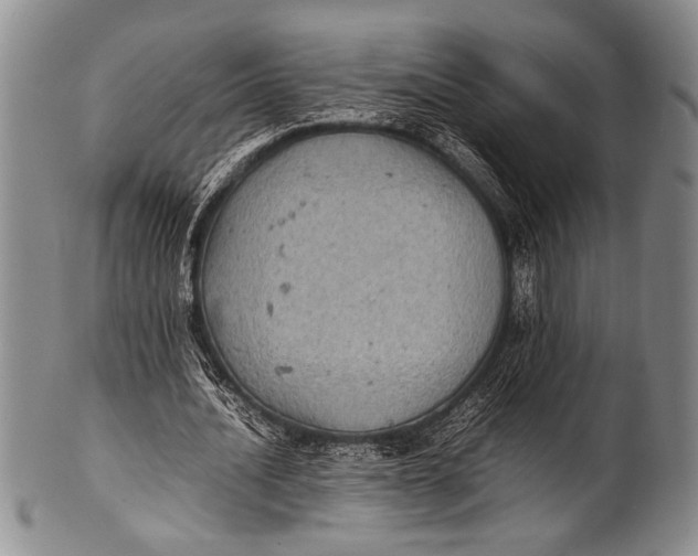 X0000100310628200806261203