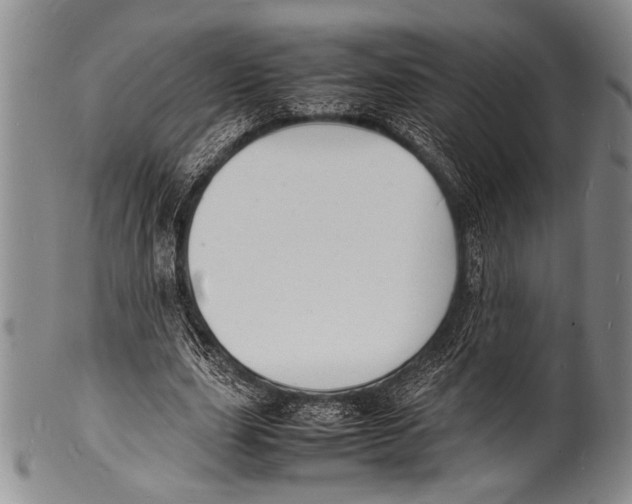 X0000100310631200806261203