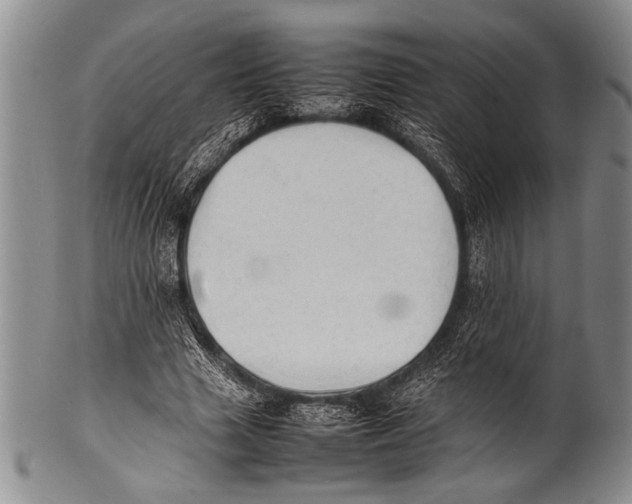 X0000100310633200806261203