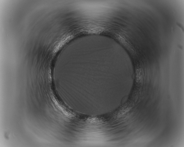 X0000100310634200806261203