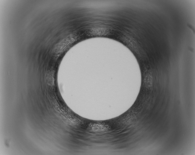 X0000100310635200806261203