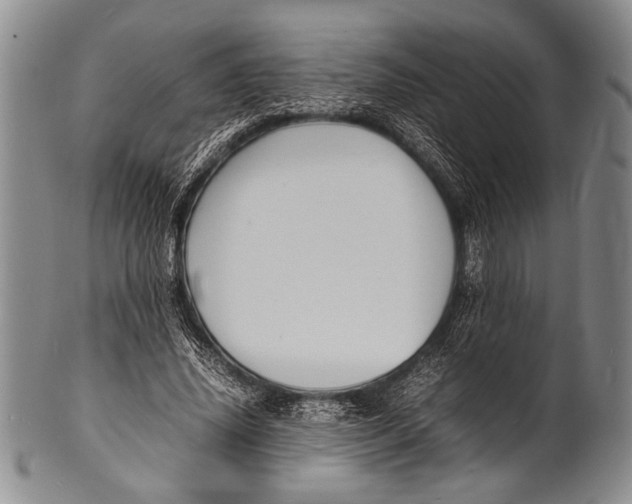 X0000100310636200806261203