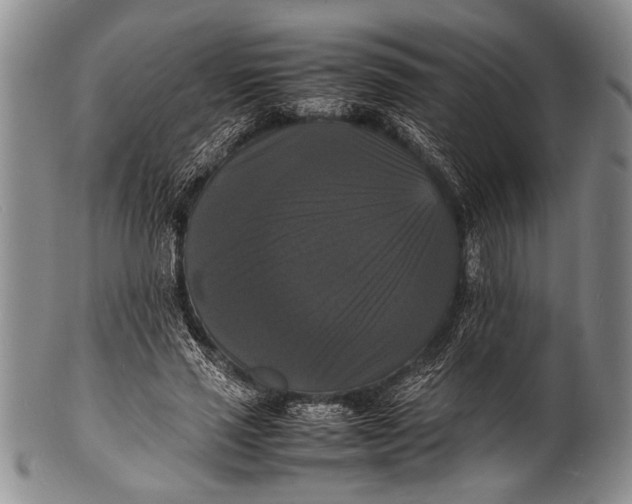 X0000100310637200806261203